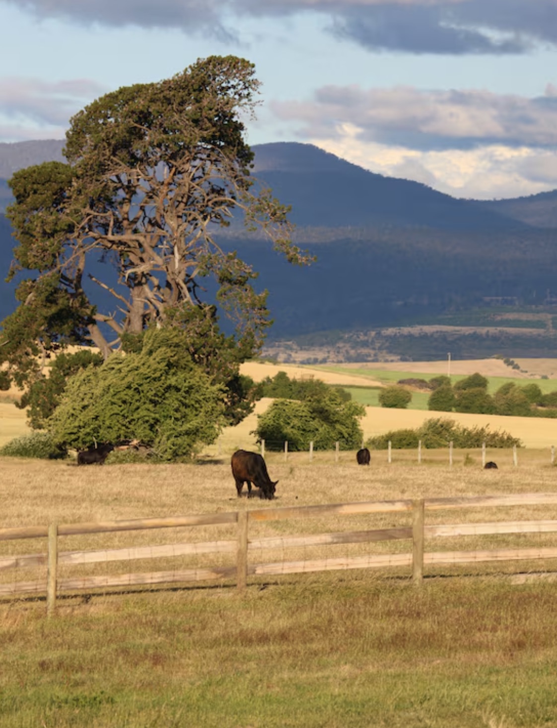 Countryside luxury estate with pastoral grounds